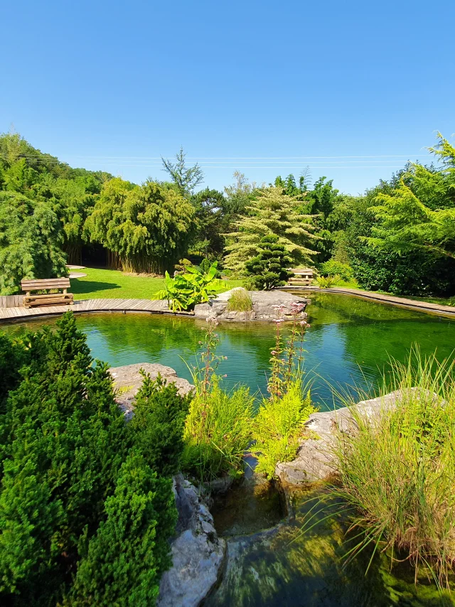 Panorama sur les Jardins Aquatiques d'Acorus avec étangs, arbres et fleurs - Vallée de l'Ognon