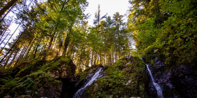 Cascade de la Goutte des Saules - Vosges du Sud