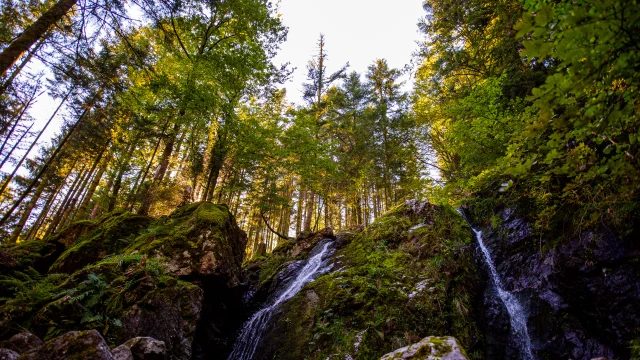 Cascade de la Goutte des Saules - Vosges du Sud