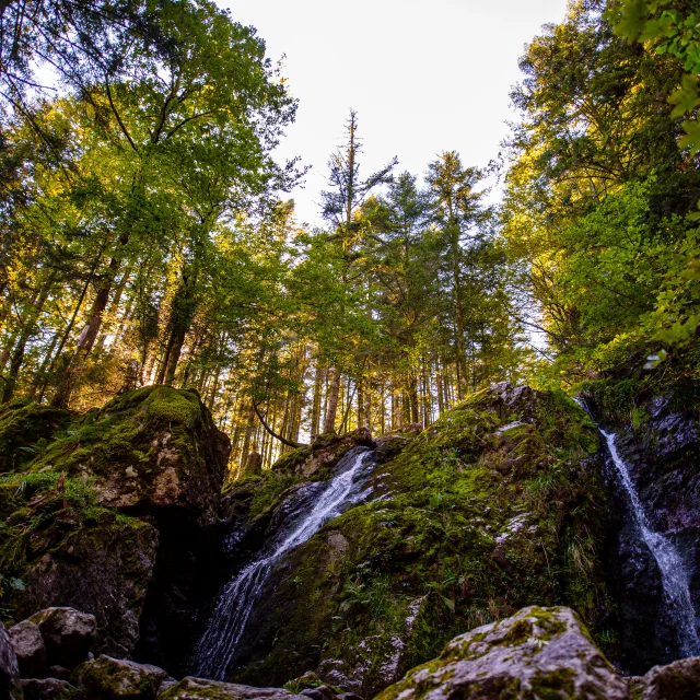 Cascade de la Goutte des Saules - Vosges du Sud
