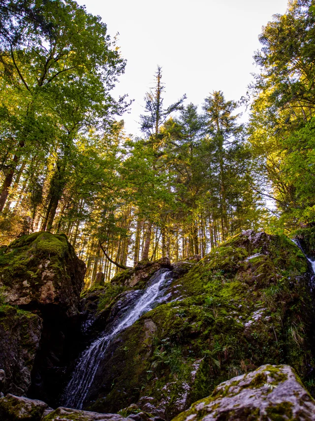 Cascade de la Goutte des Saules - Vosges du Sud