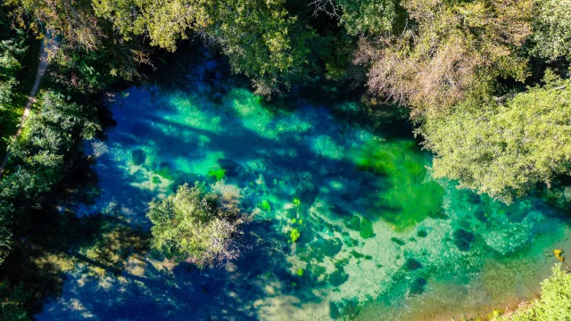 Résurgence de la Reigne avec des couleurs mystérieuses en pleine forêt - Vosges du Sud