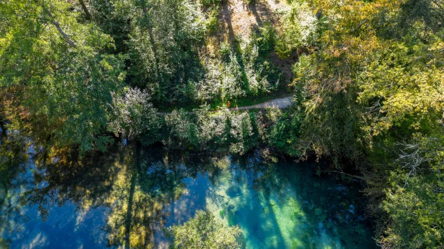 Résurgence de la Reigne avec des couleurs mystérieuses en pleine forêt - Vosges du Sud