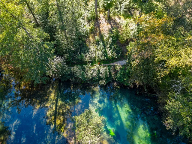 Résurgence de la Reigne avec des couleurs mystérieuses en pleine forêt - Vosges du Sud