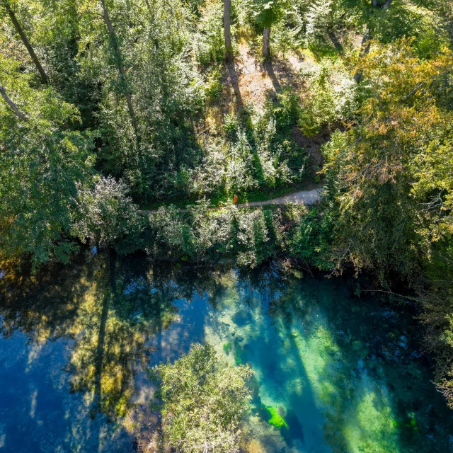 Résurgence de la Reigne avec des couleurs mystérieuses en pleine forêt - Vosges du Sud