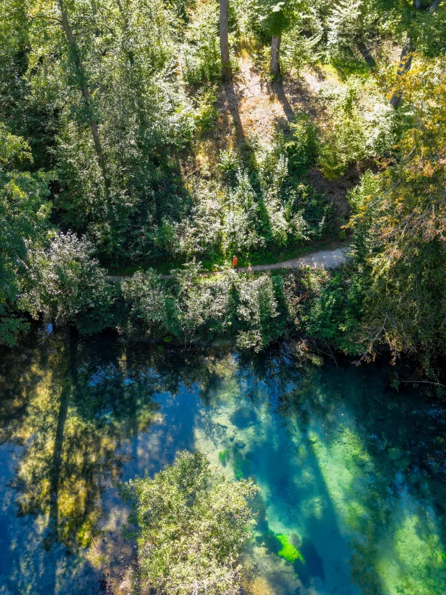 Résurgence de la Reigne avec des couleurs mystérieuses en pleine forêt - Vosges du Sud