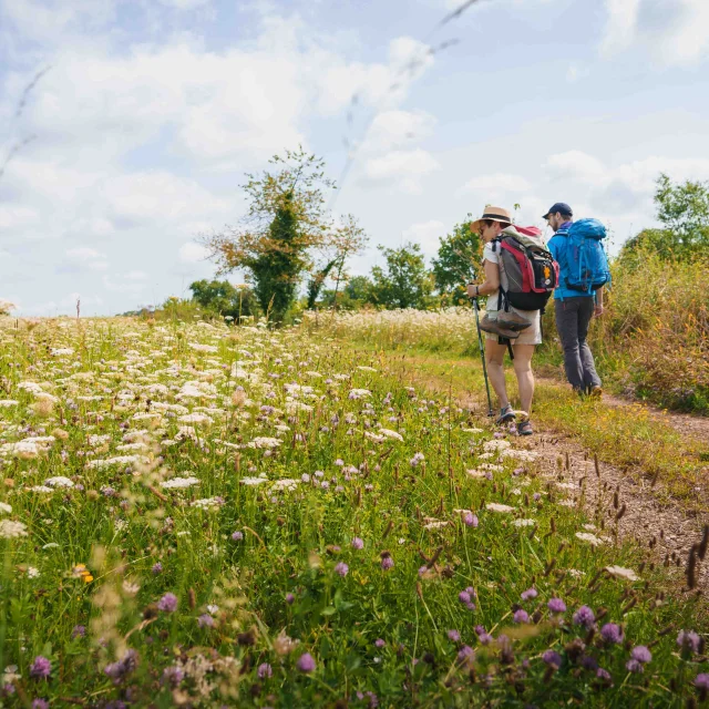 Des pèlerins randonnent sur le sentier de la Via Francigena - Vesoul - Val de Saône