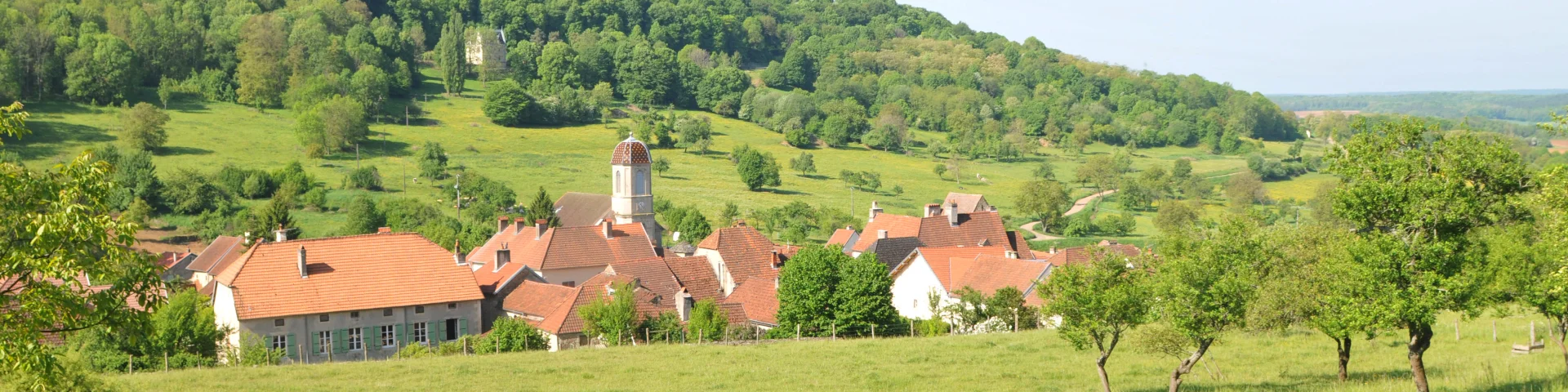 Vue panoramique sur la Cité de caractère de Chariez, entourée de prairies, de forêts et de vignes - Vesoul-Val de Saône