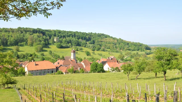 Vue panoramique sur la Cité de caractère de Chariez, entourée de prairies, de forêts et de vignes - Vesoul-Val de Saône