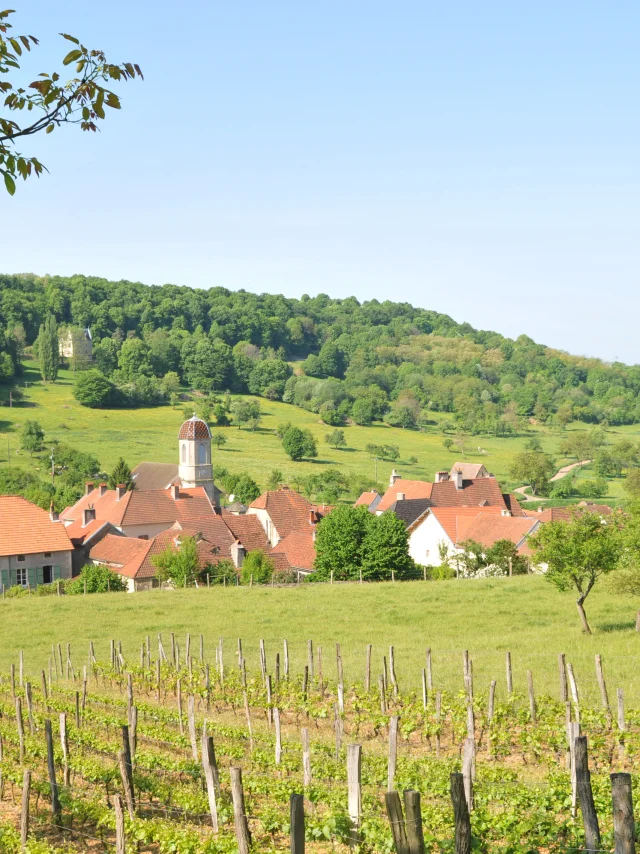Vue panoramique sur la Cité de caractère de Chariez, entourée de prairies, de forêts et de vignes - Vesoul-Val de Saône