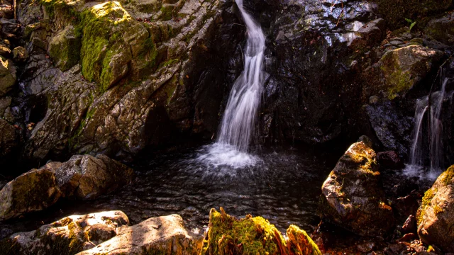 Cascade de la Goutte des Saules - Vosges du Sud