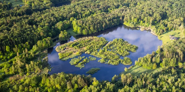 Vue aérienne des 1000 Étangs, montrant un étang entouré de forêt et de verdure, et au milieu duquel se trouve plusieurs petites îles. Une ferme typique de la région se trouve au bord de l'étang, marquant ce paysage emblématique, surnommé « La Petite Finlande » - Plateau des 1000 Étangs - Vosges du Sud