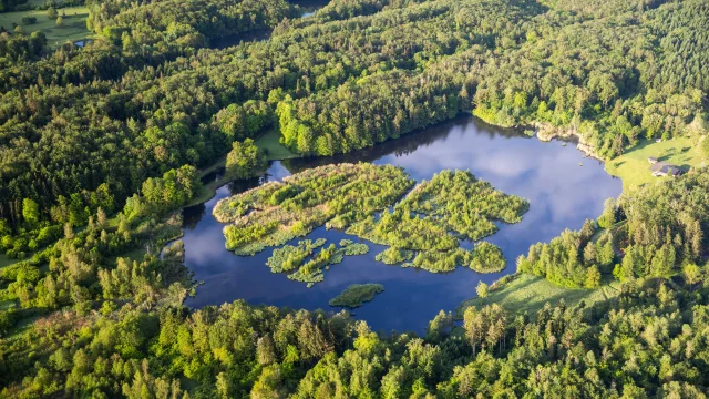 Vue aérienne des 1000 Étangs, montrant un étang entouré de forêt et de verdure, et au milieu duquel se trouve plusieurs petites îles. Une ferme typique de la région se trouve au bord de l'étang, marquant ce paysage emblématique, surnommé « La Petite Finlande » - Plateau des 1000 Étangs - Vosges du Sud