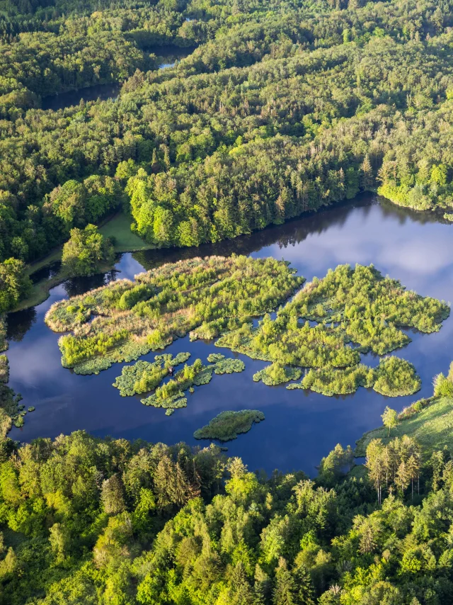 Vue aérienne des 1000 Étangs, montrant un étang entouré de forêt et de verdure, et au milieu duquel se trouve plusieurs petites îles. Une ferme typique de la région se trouve au bord de l'étang, marquant ce paysage emblématique, surnommé « La Petite Finlande » - Plateau des 1000 Étangs - Vosges du Sud