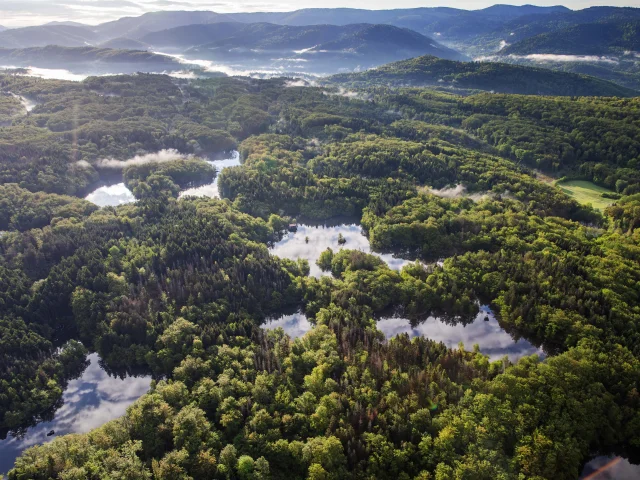Vue aérienne des 1000 Étangs montrant la mosaïque d'étangs et de forêt qui composent ce paysage emblématique, surnommé « La Petite Finlande ». En arrière-plan, on perçoit les premiers reliefs du Massif des Vosges - Plateau des 1000 Étangs - Vosges du Sud