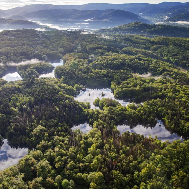Vue aérienne des 1000 Étangs montrant la mosaïque d'étangs et de forêt qui composent ce paysage emblématique, surnommé « La Petite Finlande ». En arrière-plan, on perçoit les premiers reliefs du Massif des Vosges - Plateau des 1000 Étangs - Vosges du Sud