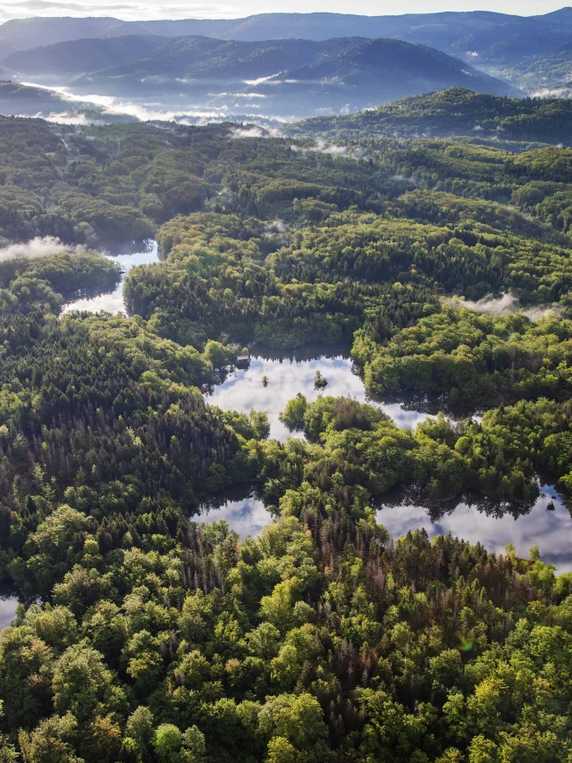 Vue aérienne des 1000 Étangs montrant la mosaïque d'étangs et de forêt qui composent ce paysage emblématique, surnommé « La Petite Finlande ». En arrière-plan, on perçoit les premiers reliefs du Massif des Vosges - Plateau des 1000 Étangs - Vosges du Sud