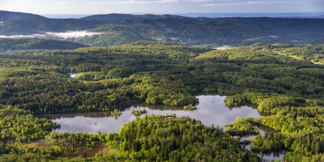 Vue aérienne des 1000 Étangs montrant la mosaïque d'étangs et de forêt qui composent ce paysage emblématique, surnommé « La Petite Finlande ». En arrière-plan, on perçoit les premiers reliefs du Massif des Vosges - Plateau des 1000 Étangs - Vosges du Sud