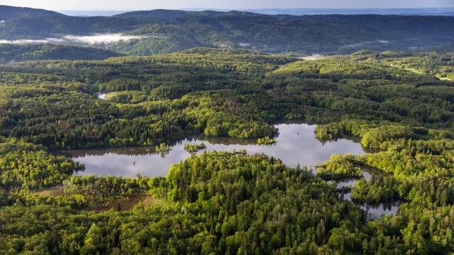 Vue aérienne des 1000 Étangs montrant la mosaïque d'étangs et de forêt qui composent ce paysage emblématique, surnommé « La Petite Finlande ». En arrière-plan, on perçoit les premiers reliefs du Massif des Vosges - Plateau des 1000 Étangs - Vosges du Sud