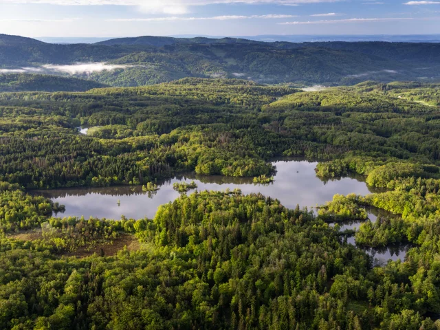 Vue aérienne des 1000 Étangs montrant la mosaïque d'étangs et de forêt qui composent ce paysage emblématique, surnommé « La Petite Finlande ». En arrière-plan, on perçoit les premiers reliefs du Massif des Vosges - Plateau des 1000 Étangs - Vosges du Sud
