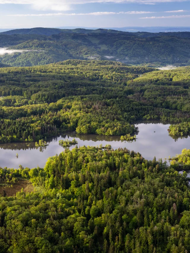 Vue aérienne des 1000 Étangs montrant la mosaïque d'étangs et de forêt qui composent ce paysage emblématique, surnommé « La Petite Finlande ». En arrière-plan, on perçoit les premiers reliefs du Massif des Vosges - Plateau des 1000 Étangs - Vosges du Sud