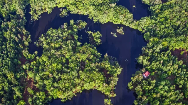 Vue aérienne des 1000 Étangs montrant la mosaïque d'étangs et de forêt qui composent ce paysage emblématique, surnommé « La Petite Finlande ». Une cabane au toit rouge vient renforcer cette comparaison paysagère pour crée une ambiance totalement nordique - Plateau des 1000 Étangs - Vosges du Sud