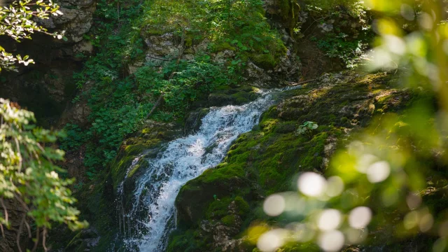 Cascade de la Goutte des Saules et belvédère du Saut de la Truite - Vosges du Sud
