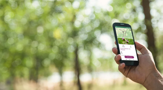 Une personne tient un smartphone avec l'application My Haute-Saône ouverte, permettant de suivre un itinéraire de randonnée pédestre en direct - Haute-Saône