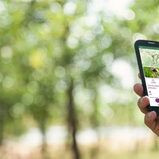 Une personne tient un smartphone avec l'application My Haute-Saône ouverte, permettant de suivre un itinéraire de randonnée pédestre en direct - Haute-Saône
