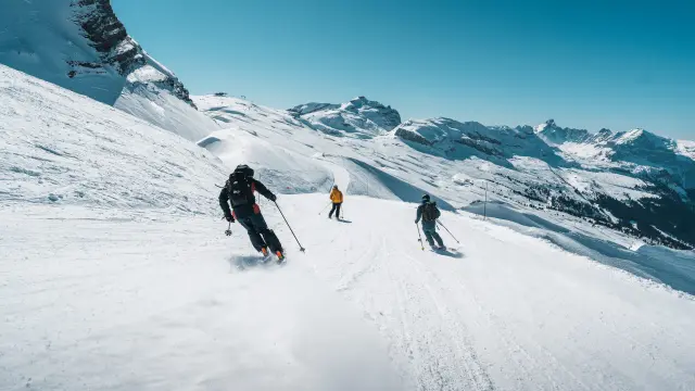 Alpineskiën