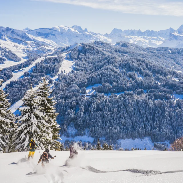 Ski Freeride Les Gets