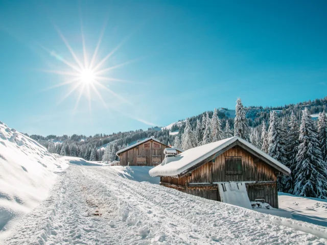 2023 11 29 Neige Paysages Hd 12 Min