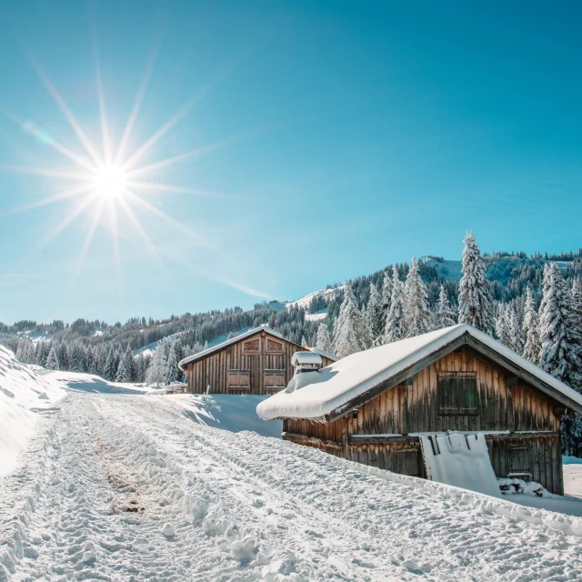 2023 11 29 Neige Paysages Hd 12 Min