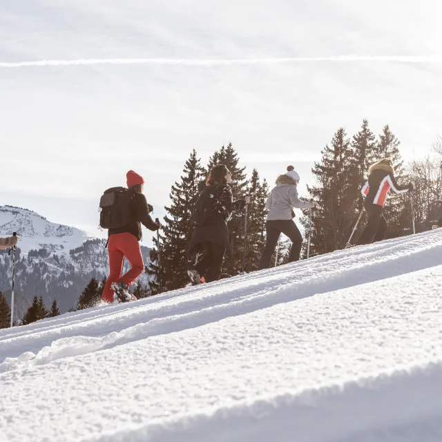 Raquettes à Megève