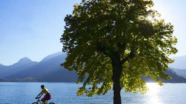 Vélo au bord du Lac d'Annecy