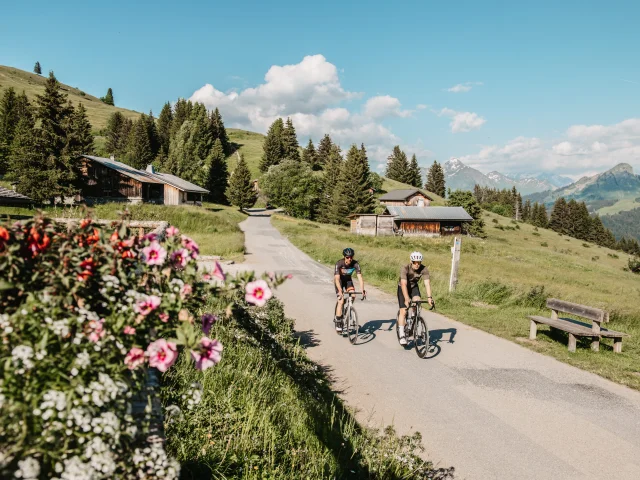 Vélo de route aux Gets