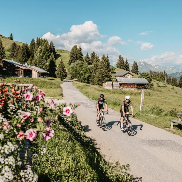 Vélo de route aux Gets