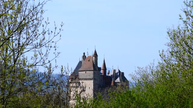 Château Menthon-Saint-Bernard vue depuis la forêt