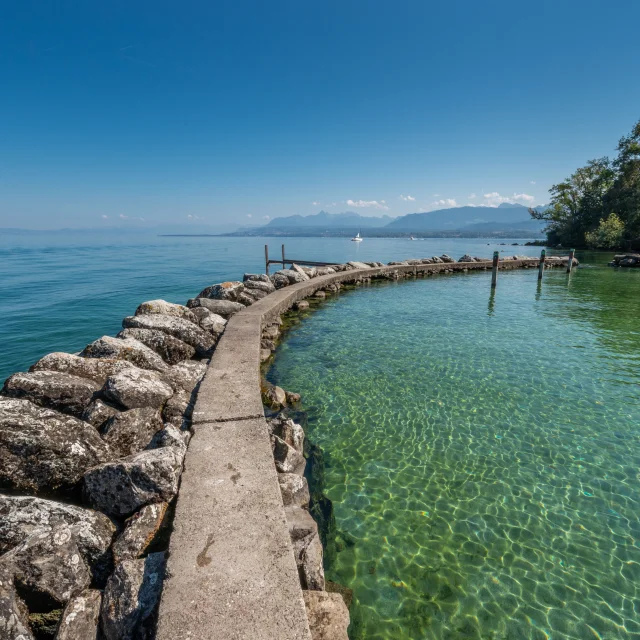 Lac Léman