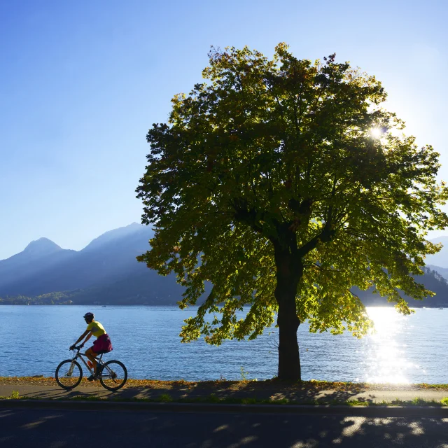 Annecy vélo piste cyclable à Angon
