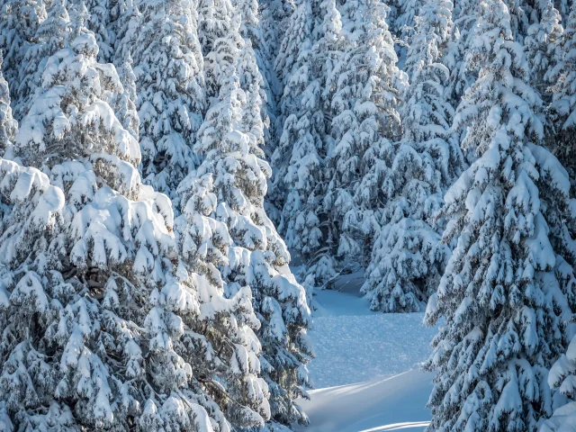 Semnoz