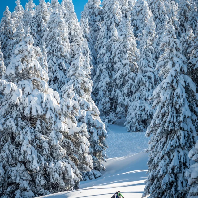 Semnoz