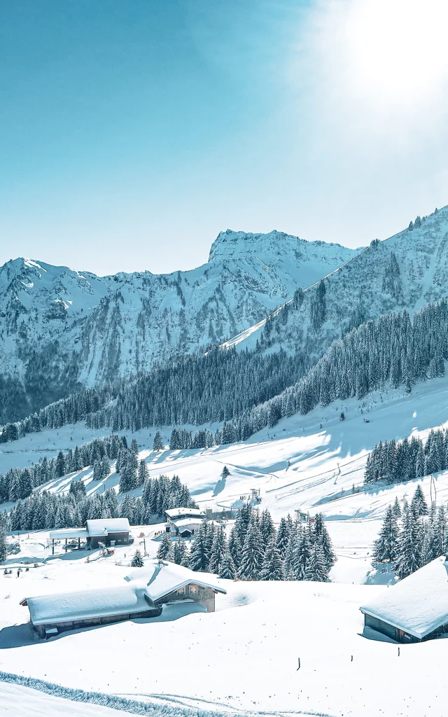 Domaine Skiable Abondance