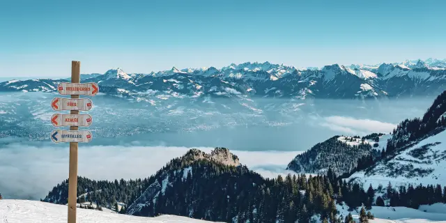 Domaine Skiable de Thollon