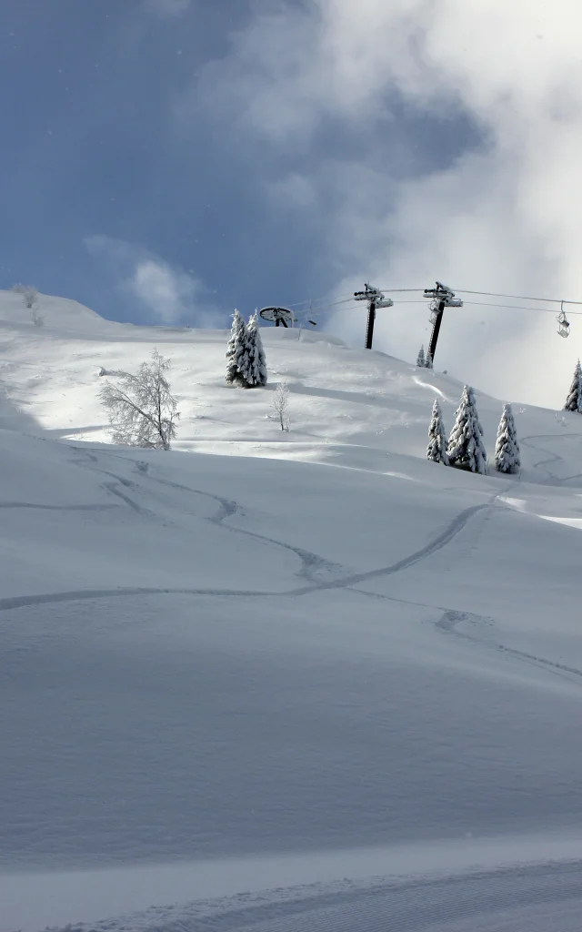 Massif des brasses