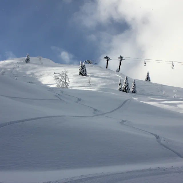 Massif des brasses