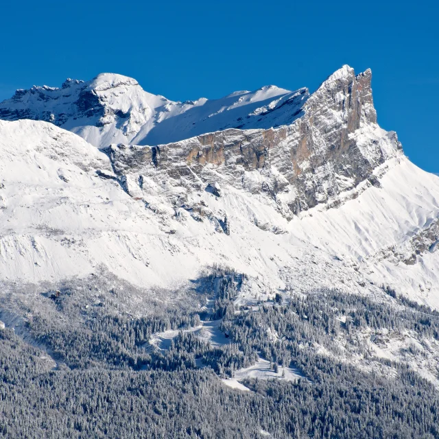 Passy plaine joux