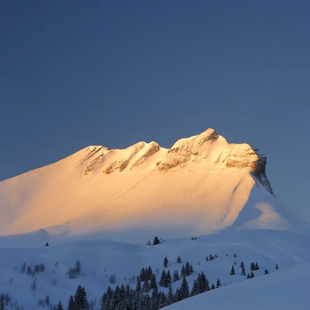 Paysage Cordon