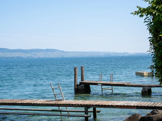 Paysage Nernier sur le lac Léman
