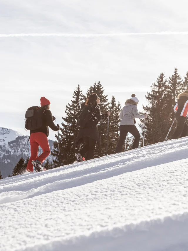 Schneeschuhwanderung